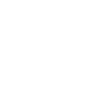 Icon Acompanhamento Médico