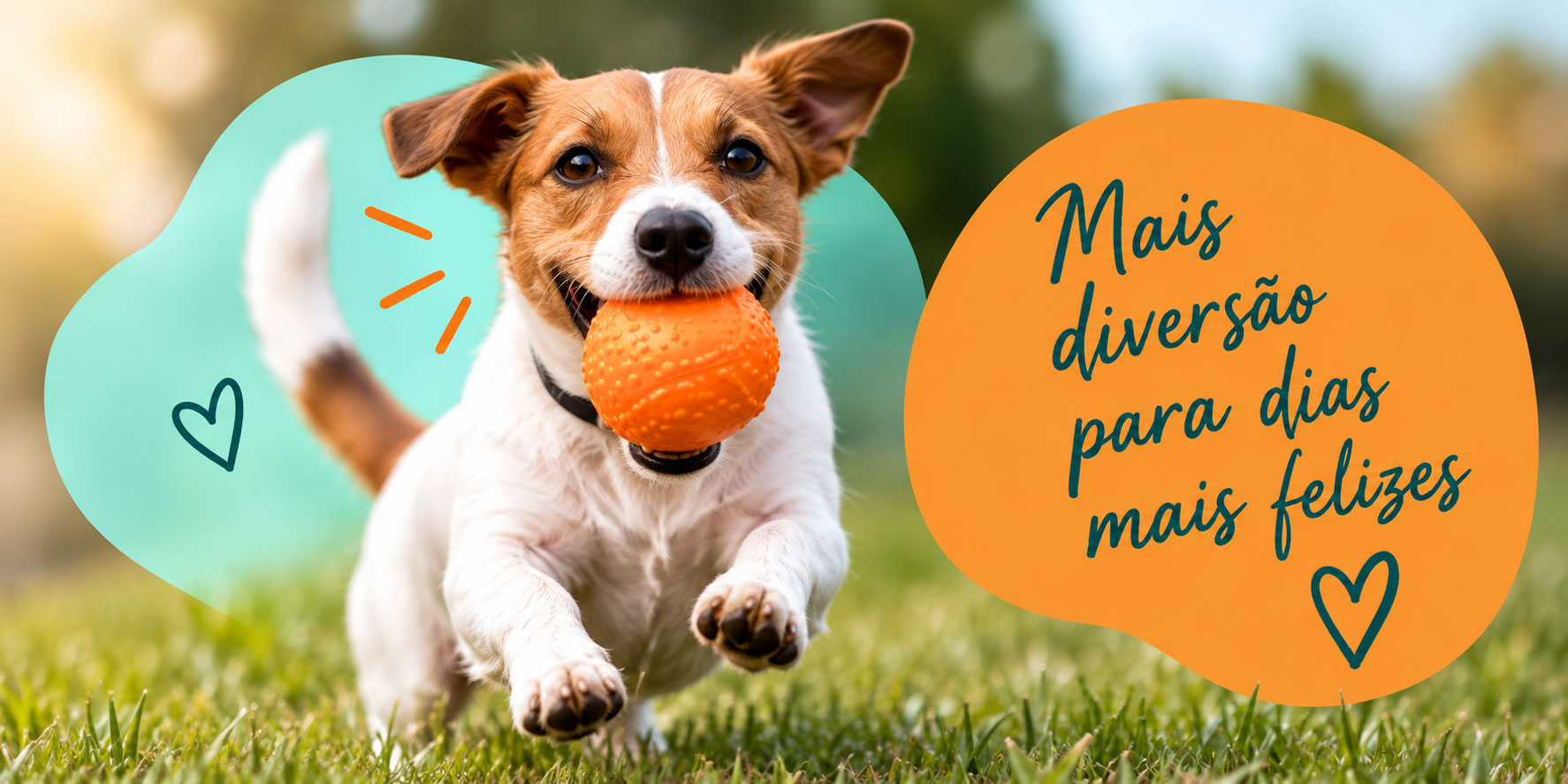 Cachorro correndo feliz com bola de brinquedo laranja